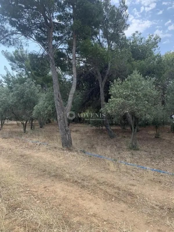 Local commercial dans Narbonne à vendre Photo de l’immeuble– Image 1 sur 2