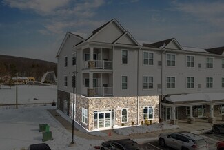 Plus de détails pour 244 Sand Springs Dr, Drums, PA - Local commercial à louer