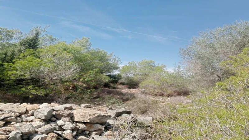 Terrain dans El Vendrell, Tarragona à vendre - Photo de l’immeuble – Image 3 sur 6