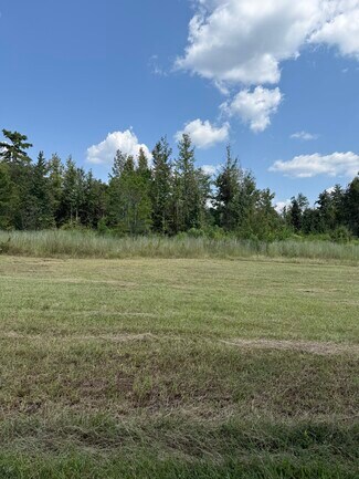 Plus de détails pour 0 ALEX Rd, Gloster, MS - Terrain à vendre