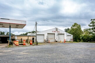 Plus de détails pour 1446 Jacob Burner Dr, Mcgaheysville, VA - Industriel/Logistique à louer
