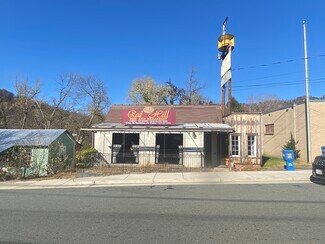 Plus de détails pour 121 Main St, Lovingston, VA - Local commercial à vendre