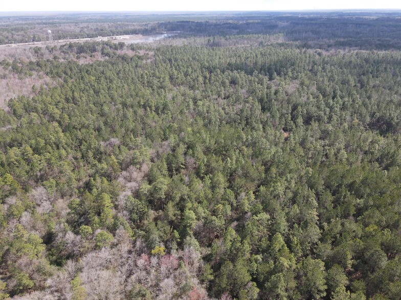 0 Highway 43 N., Axis, AL à vendre - Photo de l’immeuble – Image 3 sur 10