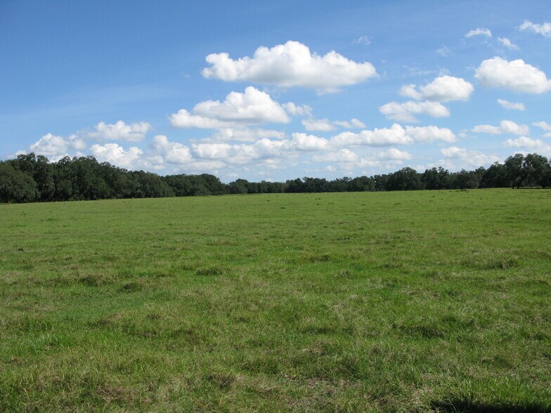 SW corner of South Ave. & Airport Road, Zephyrhills, FL à vendre - Photo de l’immeuble – Image 3 sur 3