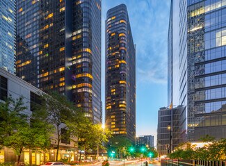 Plus de détails pour 360 E Ohio St, Chicago, IL - Local commercial à louer