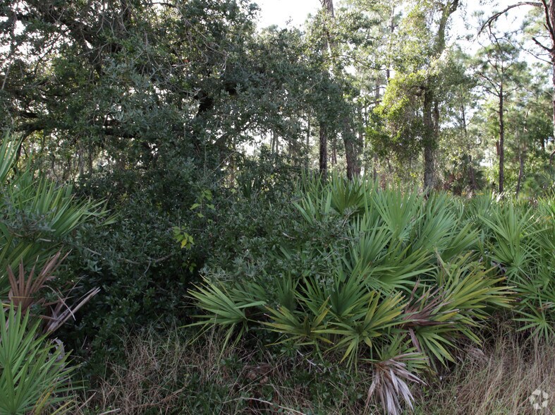 US 41, Fort Myers, FL à vendre - Photo de l’immeuble – Image 3 sur 4