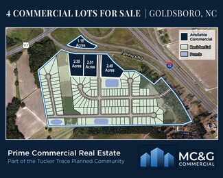 Plus de détails pour 296 Tommy's Rd, Goldsboro, NC - Terrain à vendre