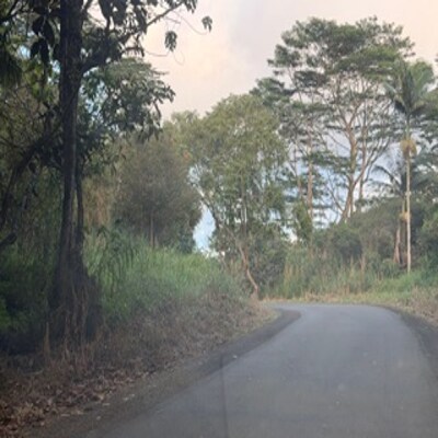 3-1-5-002-002, Pahoa, HI à vendre - Autre – Image 3 sur 3