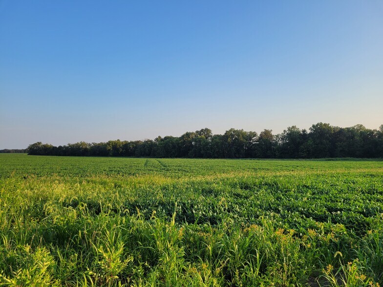 Highway DD (123.22 ac) Tract A, Bellflower, MO à vendre - Autre – Image 1 sur 33
