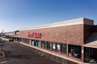 Plus de détails pour 1227-1315 S Naper Blvd, Naperville, IL - Local commercial à louer