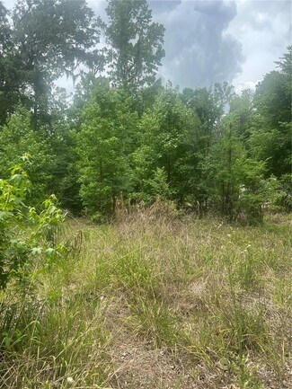 Plus de détails pour 2614 CR 412, Lake Panasoffkee, FL - Terrain à vendre