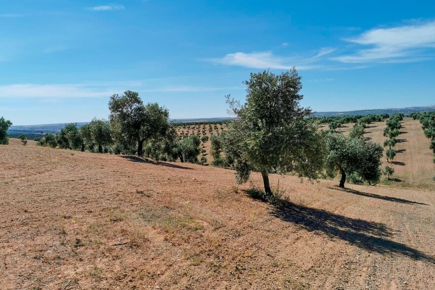 Llano Salviar Polígono, 13, Parcela: 20, Huelma, Jaén à vendre - Aérien – Image 3 sur 6