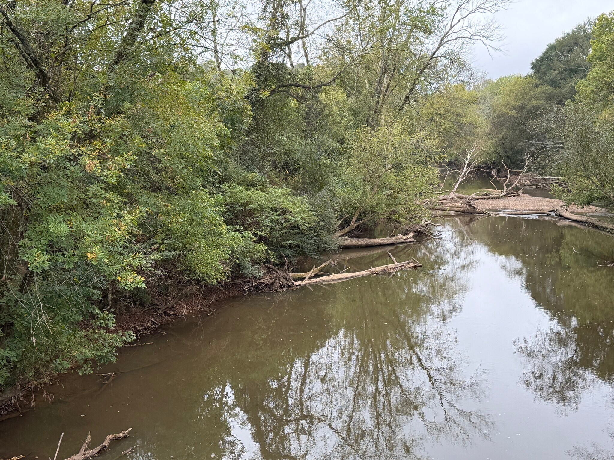 0 County Road 60, Heflin, AL à vendre Photo de l’immeuble– Image 1 sur 18