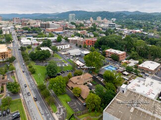 Plus de détails pour 90 Asheland Ave, Asheville, NC - Bureau à vendre