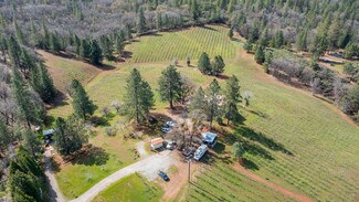 Plus de détails pour 4771 Greenhills Rd, Placerville, CA - Spécialisé à vendre