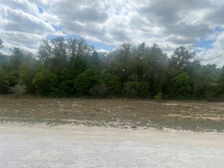 Cleft Rock Street, Webster, FL à vendre - Autre – Image 3 sur 4