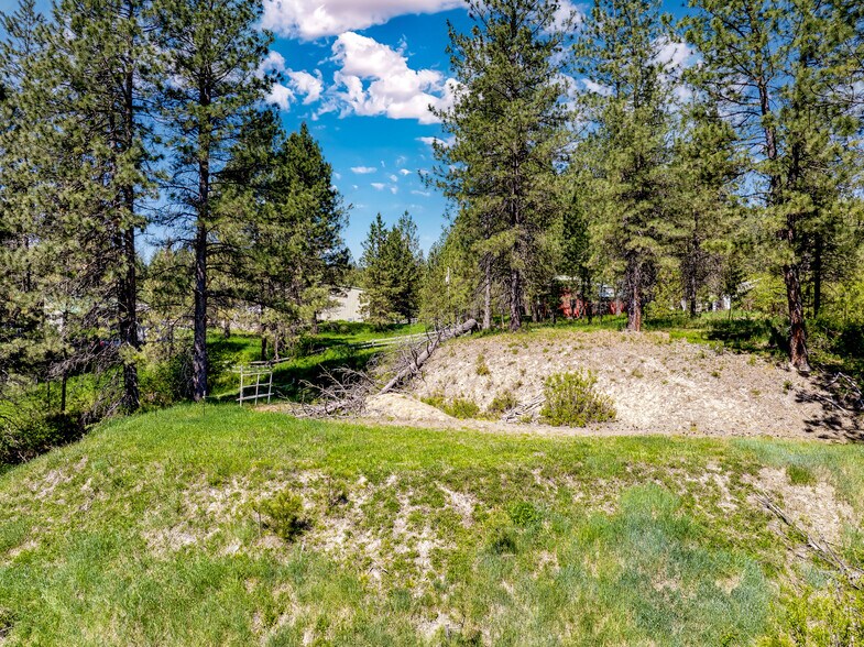 Lot 44 Scriver Creek, Garden Valley, ID à vendre - Aérien – Image 3 sur 8