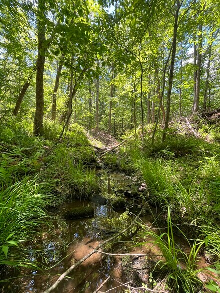 00 00 Youngstown Rd, Goochland, VA à vendre - Photo de l’immeuble – Image 2 sur 14