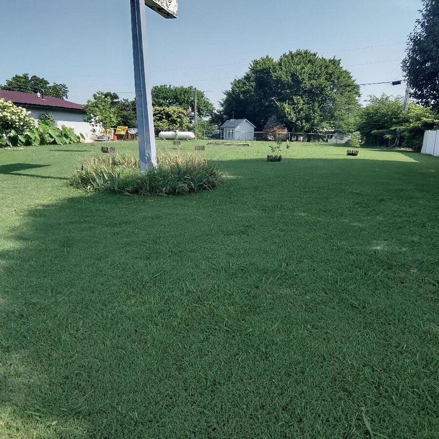 View Photo