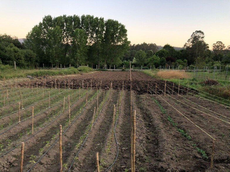 Terrain dans Meis, Pontevedra à vendre - Photo de l’immeuble – Image 3 sur 19
