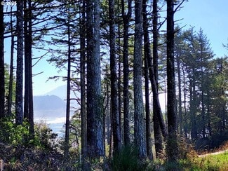 Plus de détails pour Hubbard Ln, Port Orford, OR - Terrain à vendre