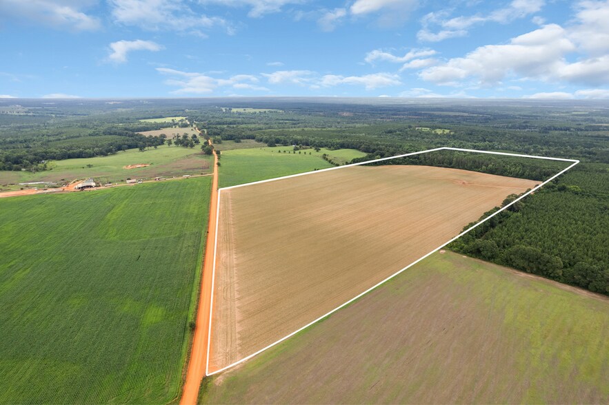 0 Old Stage rd, Repton, AL à vendre - Photo de l’immeuble – Image 3 sur 27
