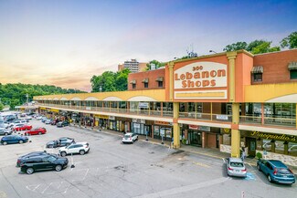 Plus de détails pour 300 Mt Lebanon Blvd, Pittsburgh, PA - Différents types d’espaces à louer