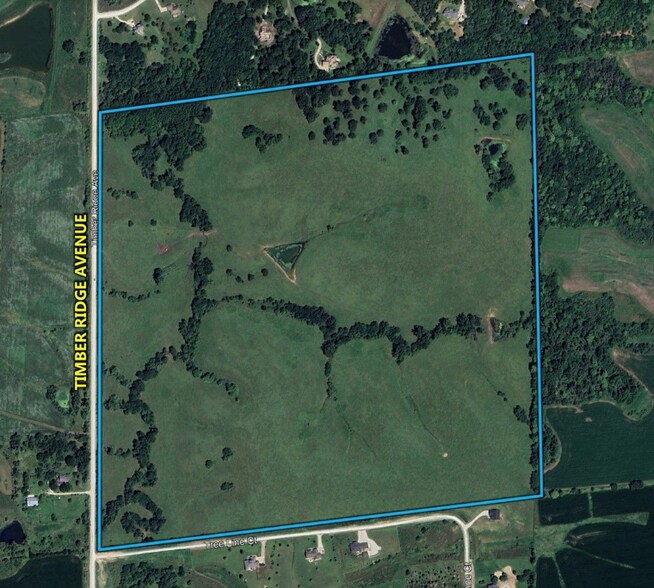 Timber Ridge Ave, Van Meter, IA à vendre - Photo de l’immeuble – Image 3 sur 4