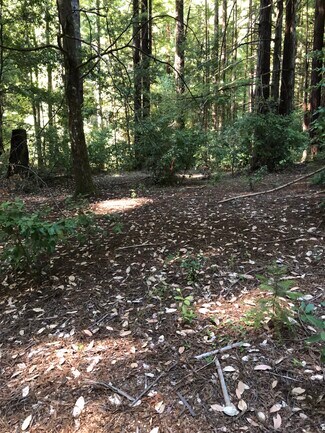 Plus de détails pour 00 Back Road, La Honda, CA - Terrain à vendre