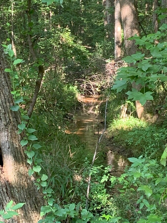 View Photo