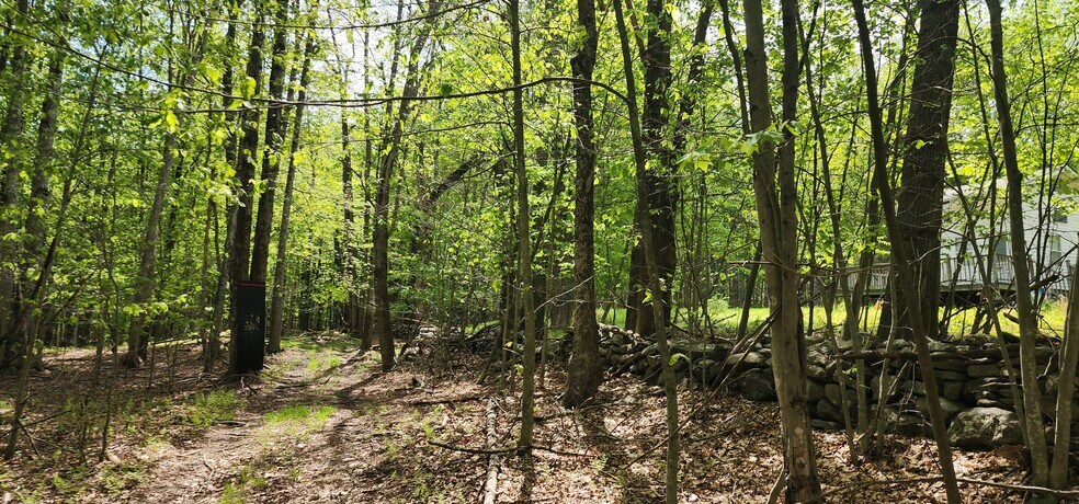 1433 Co 56 Rd, Mountain Dale, NY à vendre - Photo de l’immeuble – Image 3 sur 18