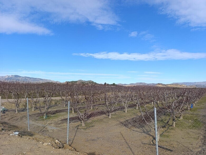 Terrain dans Ceutí, Murcia à vendre - Photo de l’immeuble – Image 2 sur 10