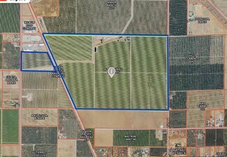 Plus de détails pour 25203 Road 212, Lindsay, CA - Terrain à vendre