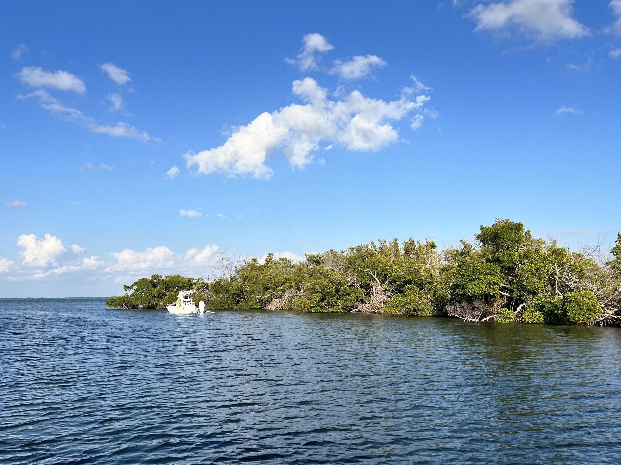 Indian Field Island + 4500 Island 1, Bokeelia, FL à vendre Photo principale– Image 1 sur 8