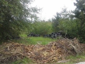 Plus de détails pour Hwy 544 & Kingswood Dr, Conway, SC - Terrain à vendre