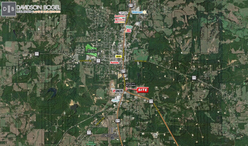 Highway 300, Gilmer, TX à louer - Autre – Image 2 sur 2