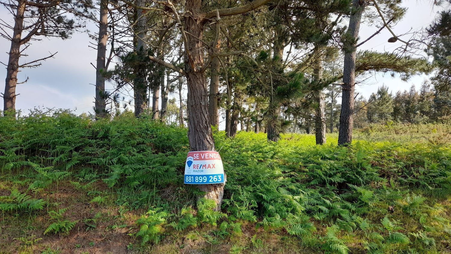 Lugar Val Arriba, 3, A Laracha, La Coruna à vendre Photo de l’immeuble– Image 1 sur 29