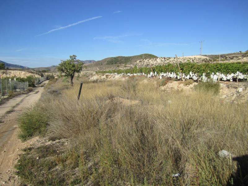 Terrain dans La Romana, Alicante à vendre Aérien– Image 1 sur 5