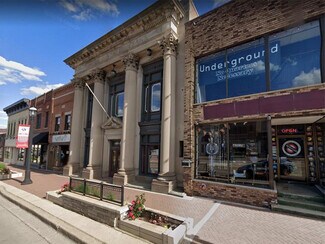 Plus de détails pour 119 W Main St, West Dundee, IL - Bureau à louer