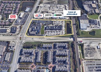 Plus de détails pour S State Route 59, Naperville, IL - Bureau/Médical à louer