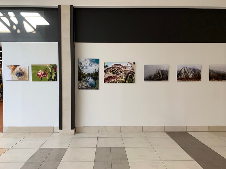 243 King St E, Bowmanville, ON à louer - Photo intérieure – Image 3 sur 3