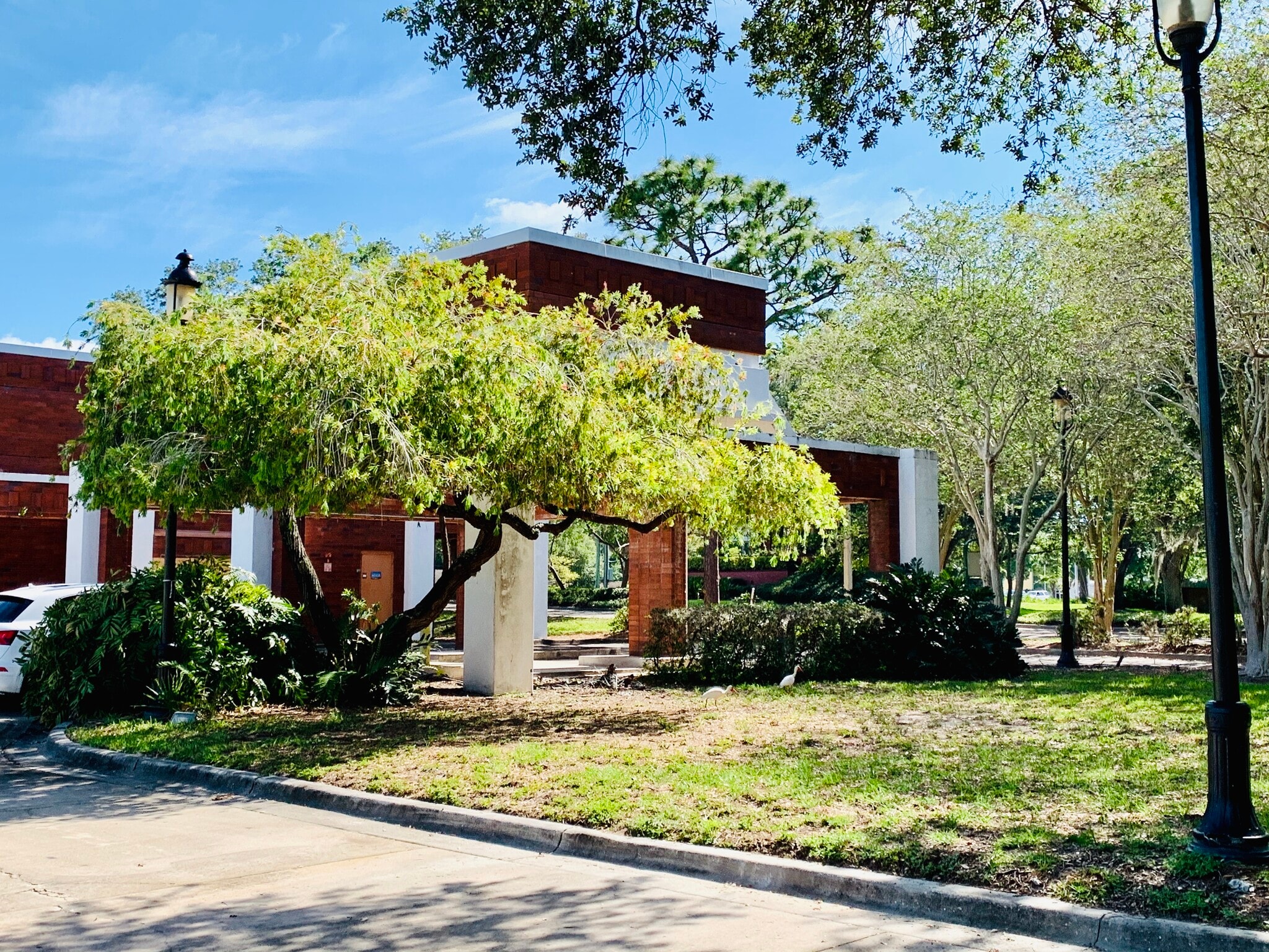 5501-5555 Roosevelt Blvd, Clearwater, FL à louer Photo de l’immeuble– Image 1 sur 2