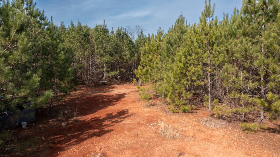 0 Carlisle Gap Rd, Woodland, GA à vendre - Autre – Image 3 sur 10