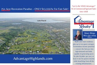Plus de détails pour 119 Lincoln NW rd, Lake Placid, FL - Terrain à vendre