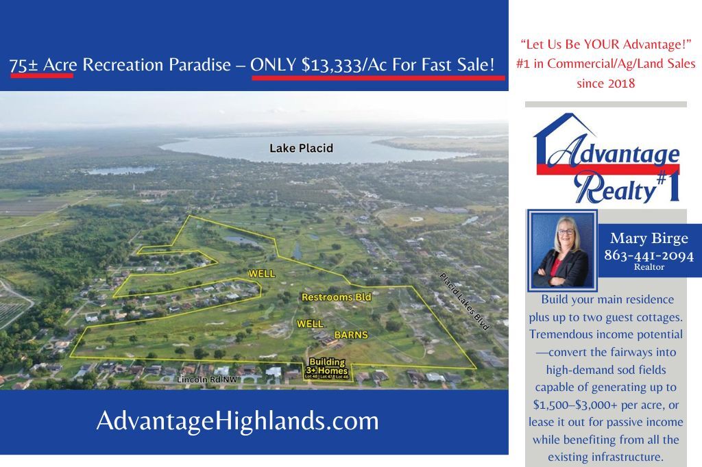 119 Lincoln NW rd, Lake Placid, FL à vendre Photo principale– Image 1 sur 28