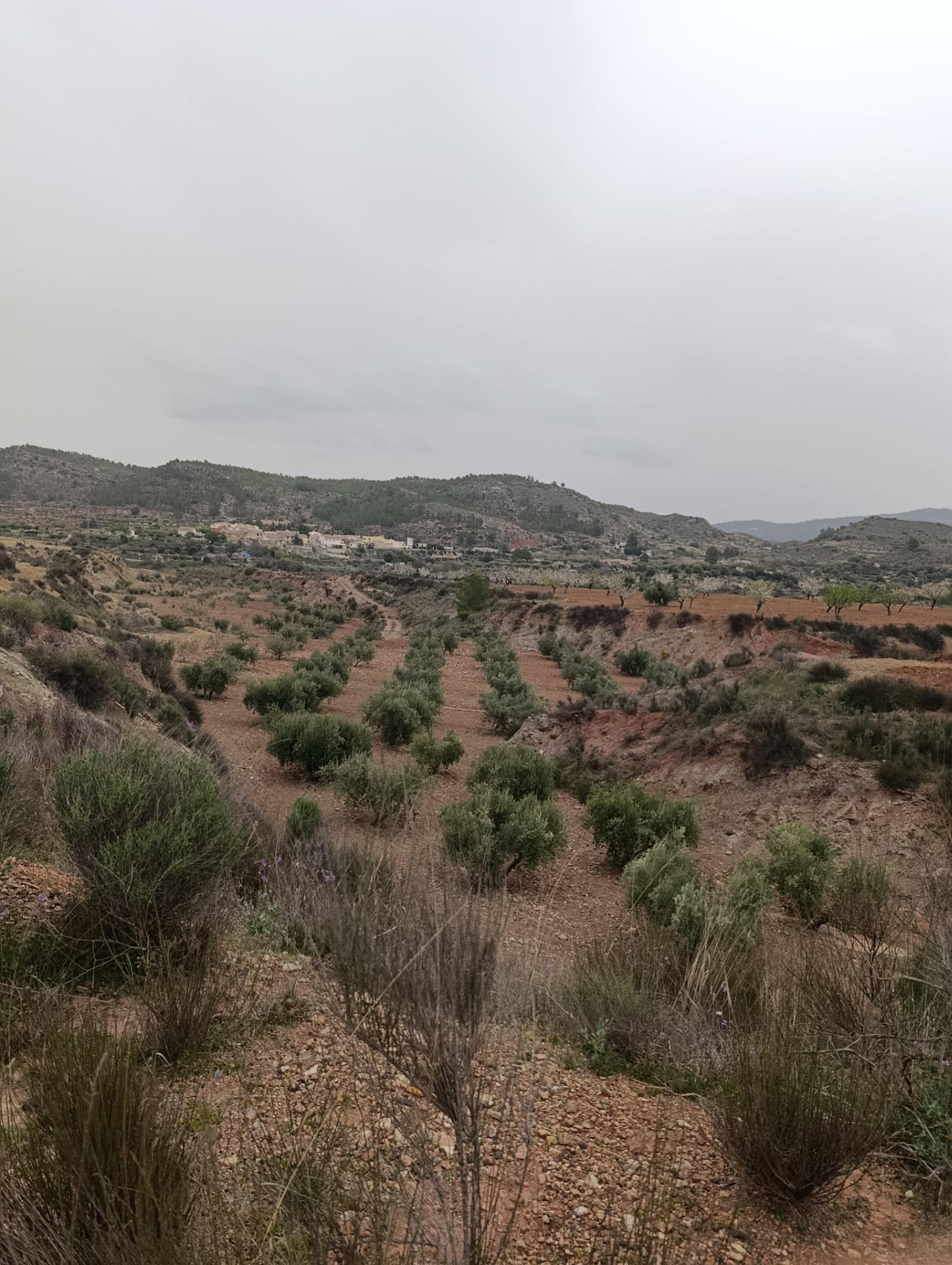 Terrain dans Cehegín, Murcia à vendre Aérien– Image 1 sur 13