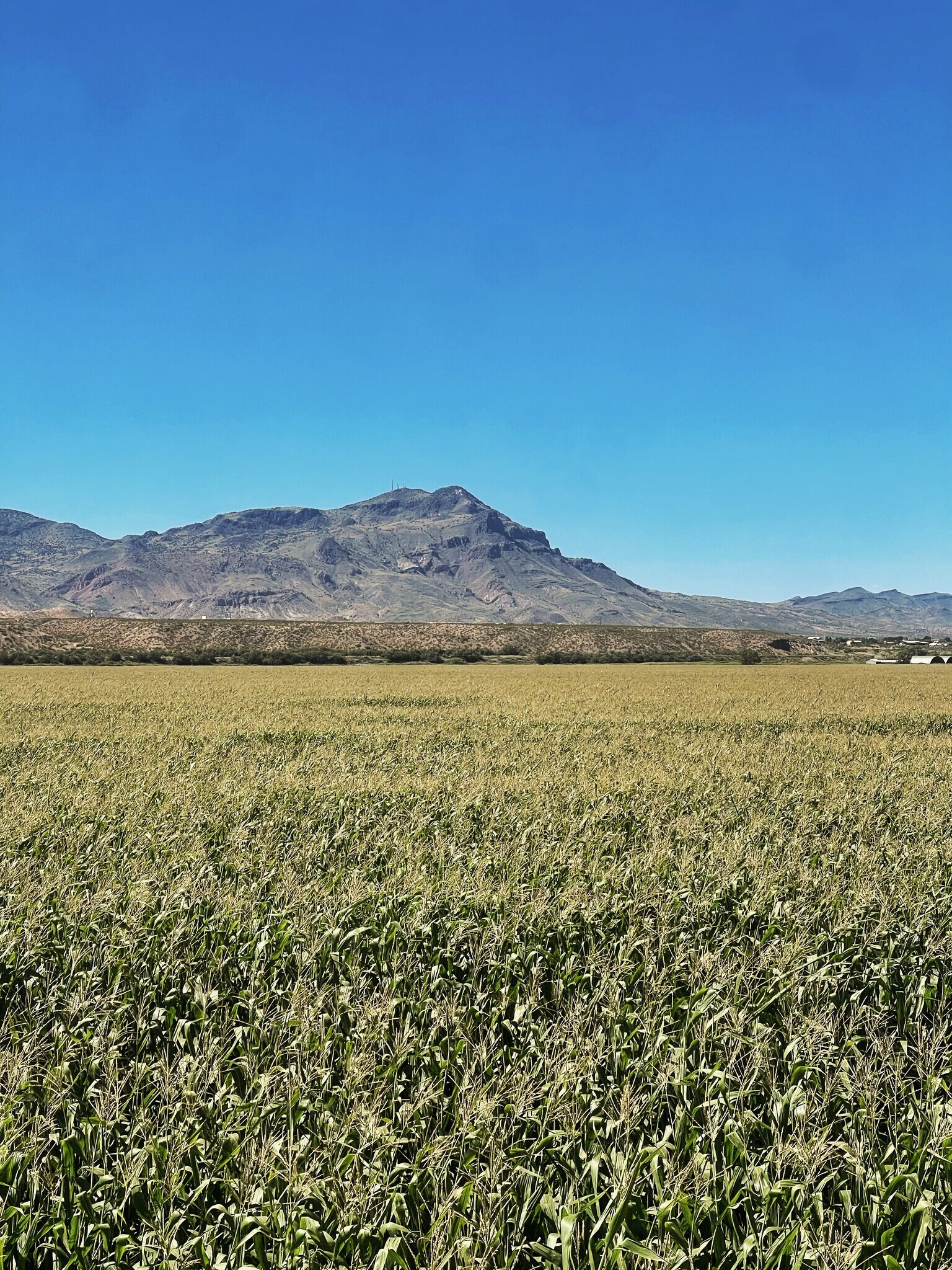 1800 Hope Farms Rd, Socorro, NM à vendre Photo principale– Image 1 sur 8