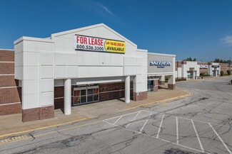 Plus de détails pour 6235-6245 Wilson Mills Rd, Highland Heights, OH - Local commercial, Industriel/Logistique à louer