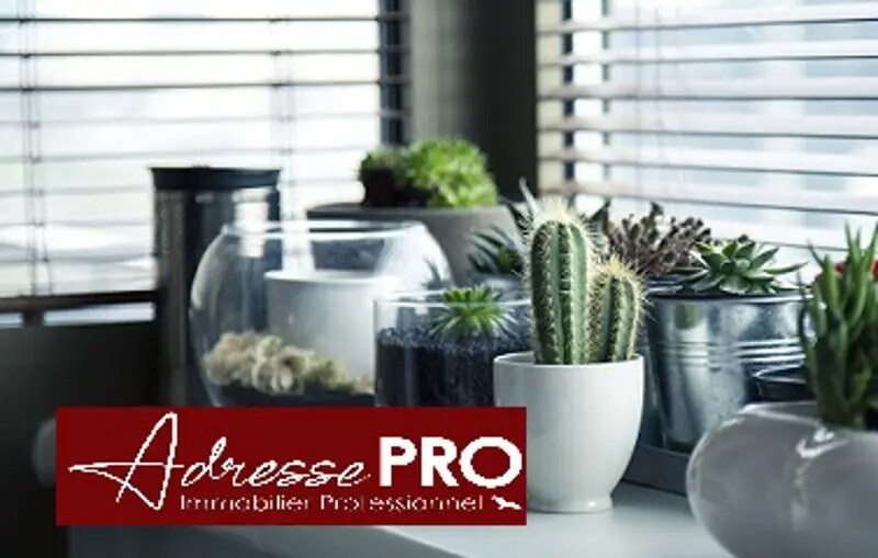 Local commercial dans La Rochelle à louer - Photo de l’immeuble – Image 2 sur 3