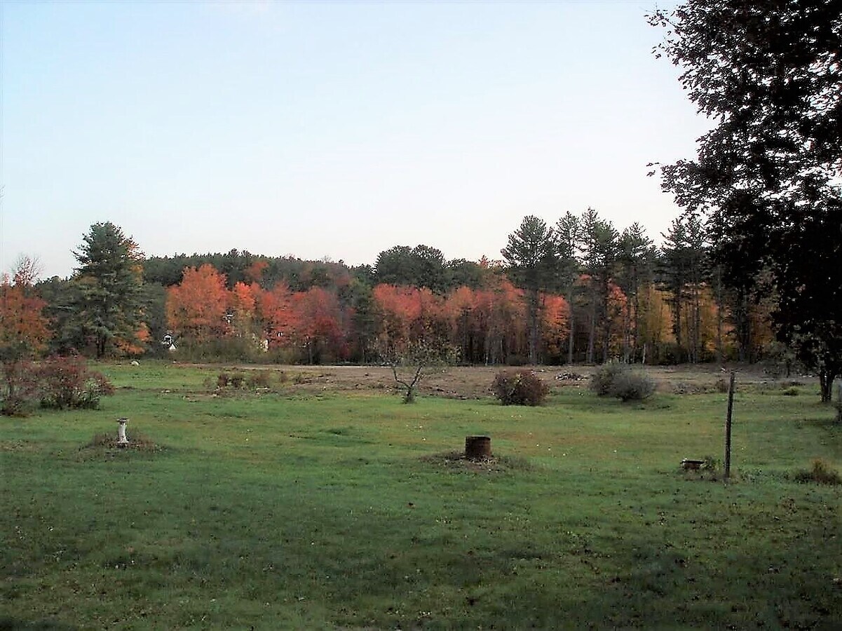 View Photo